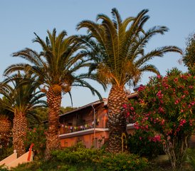 8 Tage Yoga Urlaub Korfu, Griechenland: Achtsames Yoga, Atmung, Klang & Pilates mit Herz - Photo 5
