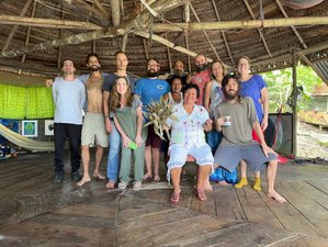 8 Day Authentic Ayahuasca and Traditional Plant Medicine Retreat in Iquitos, Loreto, Peru