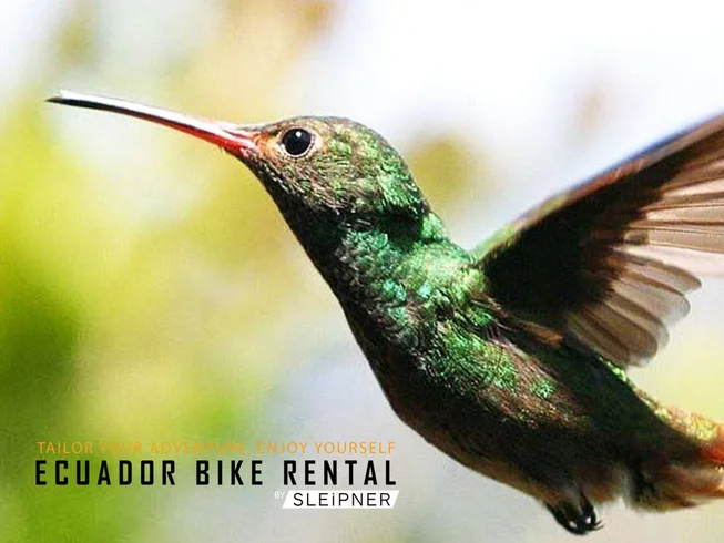 9 Day Back Road Adventure Guided Motorcycle Tour in Ecuador photo 6