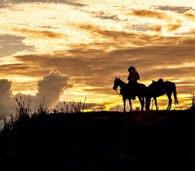 10 Day Casanare Ride: The Old Cattle Road of Almeidas Province - Horse Riding Holiday in Colombia - Photo 5