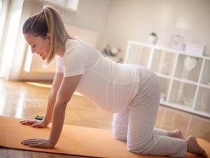 6 Wochen 75-Stunden Online Pränatale, Postnatale und Gharbsanskar Yogalehrer Ausbildung