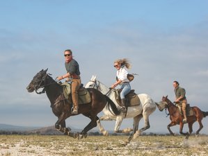 8 jours safari éléphants du Kilimandjaro et vacances équestres en Tanzanie