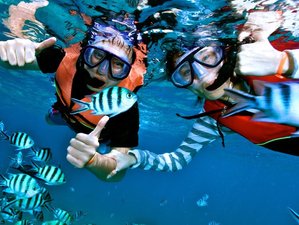 5 Day Snorkeling in the Mediterranean Sea and Cooking Holiday in Sanremo, Liguria, Côte Azur