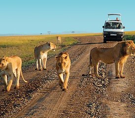 7 Day Best of Kenya Budget Group Safari - Photo 2