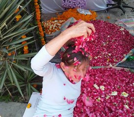 11 jours de formation de professeur de yoga et pranayama de 100 heures à Rishikesh, Inde - Photo 4