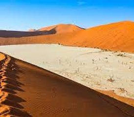 3 jours en stage de safari en Namibie à Sossusvlei, Namibie - Photo 5