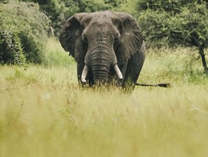 9 Day Magical Kenya and Tanzania Safari