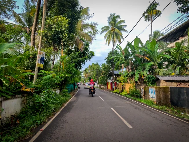 6 Day Guided Motorcycle Tour in Kerala, India photo 4