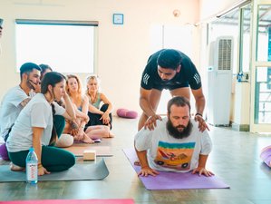 30 Day 300-Hour Hatha, Ashtanga, Vinyasa, Kundalini, Ayurveda, and Reiki Yoga TTC in India