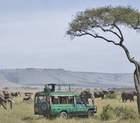 3 Tage Expedition Ballon Safari in Masai Mara, Kenia - Photo 2