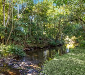 45 Tage Ruhiger Yoga Retreat in Maleny, Sunshine Coast Hinterland, Australien - Photo 1