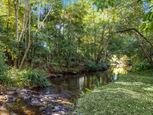 4 Day Tranquil Getaway Yoga Retreat in Maleny, Sunshine Coast Hinterland, Australia