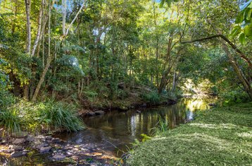 5 Day Tranquil Getaway Yoga Retreat in Maleny, Sunshine Coast Hinterland, Australia