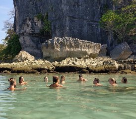 5 días de retiro de conexión cuerpo, mente y alma en Santa Teresa, Costa Rica - Photo 2