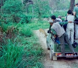 94 jours circuit jungle et faune sauvage à Chitwan, Népal - Photo 1