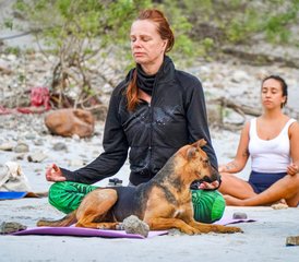 25 Tage 200-Stunden Traditionelle Kundalini Kriya Mit Meditation Yogalehrer-Ausbildung In Rishikesh, Indien - Photo 2