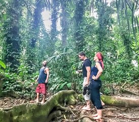 5 Tage Spirit Awakening Retreat mit Coaching, Wellness und Abenteuer in Puerto Viejo, Costa Rica - Photo 2