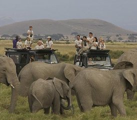 8 Tage Serengeti & Beyond: eine Tansania Safari in Tarangire, Lake Manyara und Ngorongoro Krater, Tansania  - Photo 3