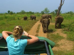 4 Days Wildlife Safari In Yala Bundala And Udawalawe National