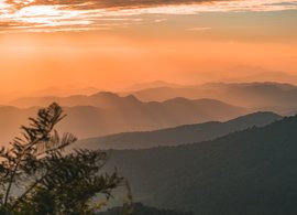 Chiang Mai Retreats & Trips