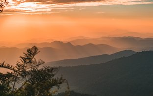 Chiang Mai Retreats & Trips