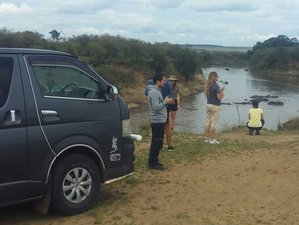 7 Day Best of Kenya Safari in Maasai Mara, Naivasha, Nakuru, and Amboseli