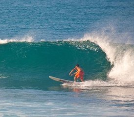 7 jours en stage de surf et retraite de yoga à Wewala, Hikkaduwa, Sri Lanka - Photo 2