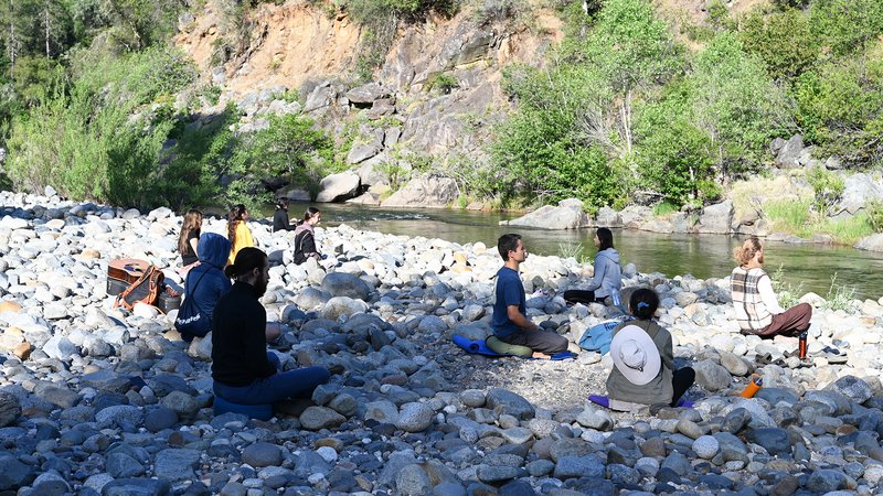 5 Day Yoga, Meditation, and Forest Bathing Retreat in Missouri, USA