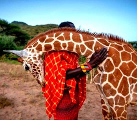 4 Tage Privater Budget-Camping-Safari in der Masai Mara in Kenia per Straße - Photo 2