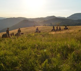 8 Day National Park Tara Trail Horse Riding Tour in Serbia - Photo 2