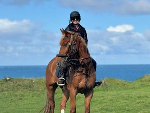 6 Tage Maßgeschneiderte Klassische Reitabenteuer an der Causeway Küste in Irland, Irland
