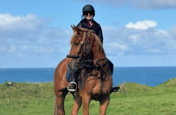 6-Daagse Op Maat Gemaakte Klassieke Paardrijavontuur aan de Causeway Kust in Ierland, Ierland