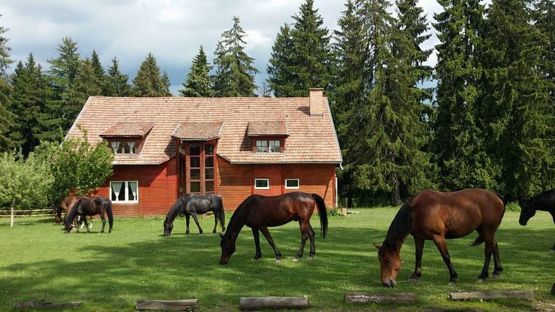 2 Days Horseback Riding Holiday in Transylvania, Romania