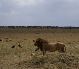 10 jours en safari des explorations du Nord au Kenya - Photo 5