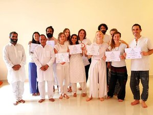 29 Day 300-Hour Advanced Yoga Teacher Training in Dharamshala, India