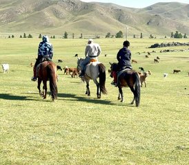 5 jours randonnée équestre vallée de l’Orkhon avec famille nomade en Mongolie - Photo 4