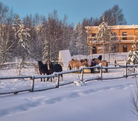 7 Tage Lappland im Sommer Reiten in Rovaniemi, Finnland - Photo 5