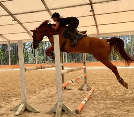 13-Daagse Intensieve Paardrijtrainingsprogramma in Esposende, Cávado, Portugal - Photo 4