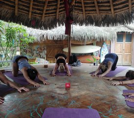 11 jours en stage de yoga pour se reconnecter et lâcher prise à Montañita, Équateur - Photo 3
