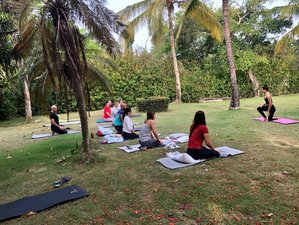 4 Day Ayahuasca, Yoga, and Meditation Retreat in Punta Cana