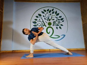 21 días de curso de profesorado de yoga tradicional transformador en Bodhidham, Pokhara, Nepal