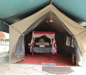 3 jours en safari de camping économique de groupe au Masai Mara au Kenya - Photo 4