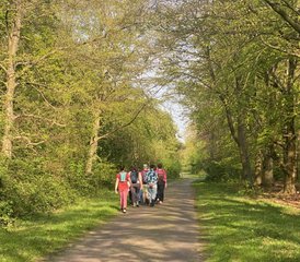 4 Daagse Summer Yoga Retreat in Castricum, Nederland - Photo 2