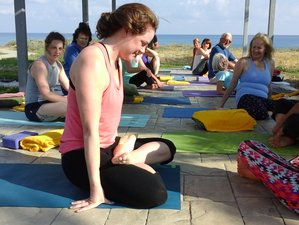 8 Day Alchemy of Yoga Retreat in Polis, Cyprus