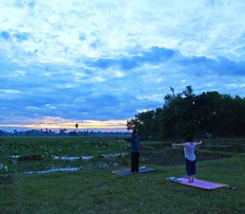 Zelfstudie 500-urige Online Gevorderde Yoga Therapie Docentenopleiding met 150 Live Uren  - Photo 2