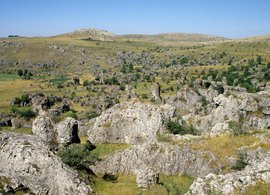 Nimes Retreats & Trips