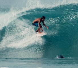 8 Day Surf Camp in Aljezur, Portugal - Photo 4