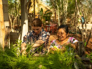 2-Daagse Maya Kookcursus in Yucatán Mexico
