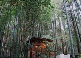 Kyushu Retreats & Trips