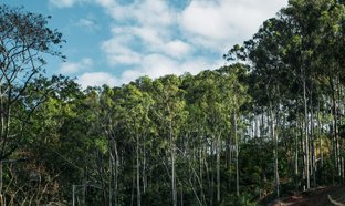 El Salvador Retreats & Trips
